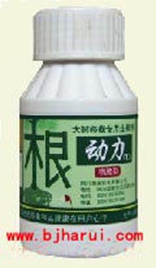 大樹根動力①號